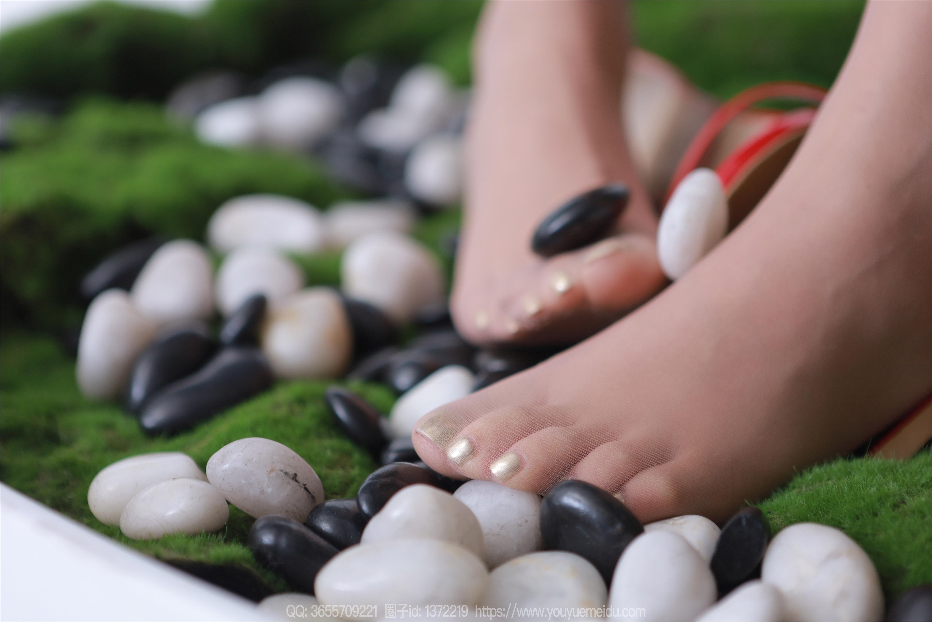 IESS异思趣向  2024.04.16 丝享家 1717 婉萍《绿野仙踪》